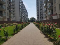 Obor Colentina Complex Rose Garden
